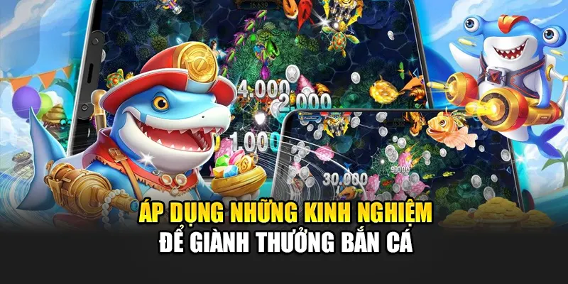 ap-dung-nhung-kinh-nghiem-de-gianh-thuong-ban-ca