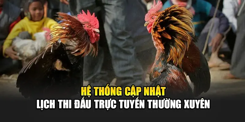 he-thong-cap-nhat-lich-thi-dau-truc-tuyen-thuong-xuyen