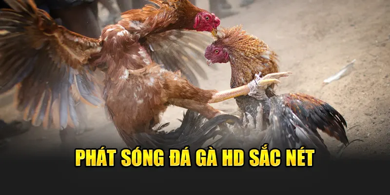 phat-song-da-ga-hd-sac-net